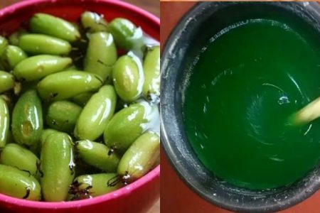 ഇരുമ്പൻപുളികൊണ്ട് വളരെയധികം യൂസ് ഫുൾ ആയ ഒരു സാധനം തയ്യാറാക്കാം |Home made Irumban puli dish wash liquid