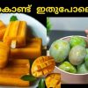 Homemade Mango Ice Cream