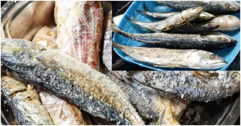 Storing Homemade Dry Fish