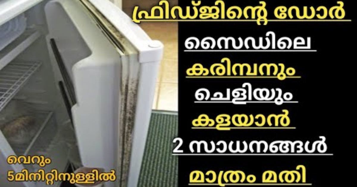 Fridge Door Side Cleaning