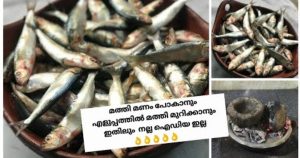 Kunjan Mathi Recipe