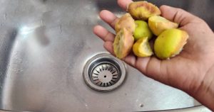 Lemon peels