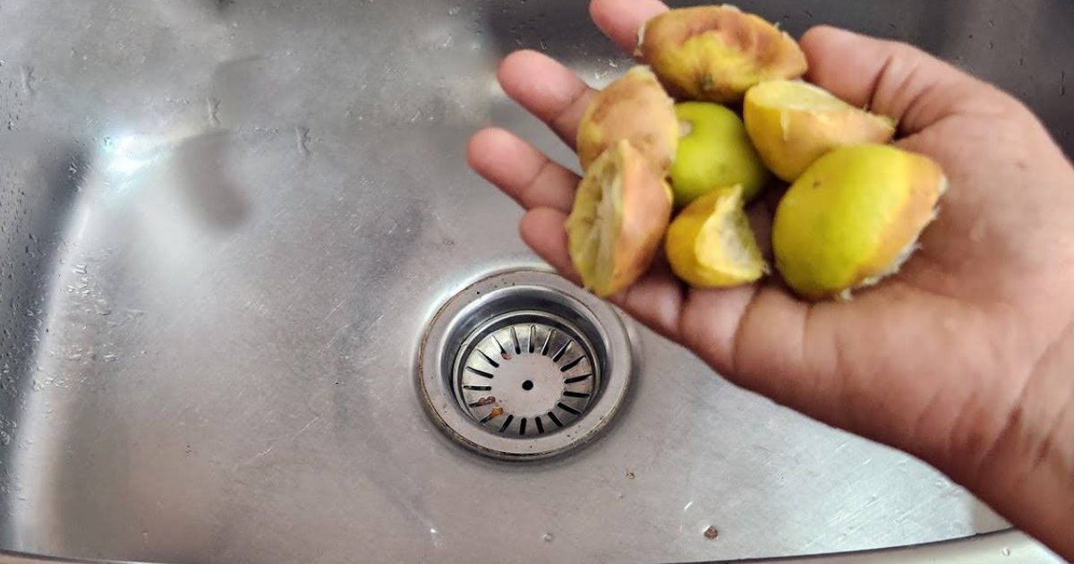 Lemon peels