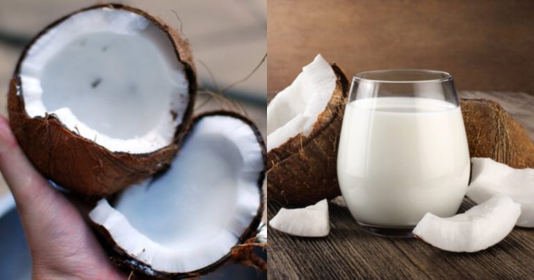 Make Coconut milk easily