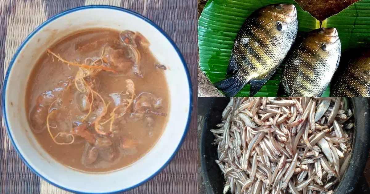 to clean fish using tamarind