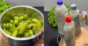 Homemade liquid wash cleaner