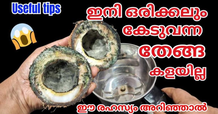 coconut-useful-tips