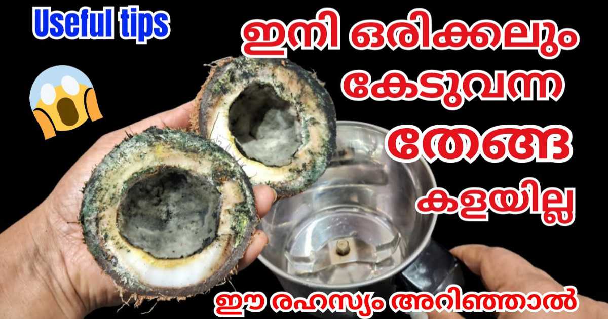 coconut-useful-tips
