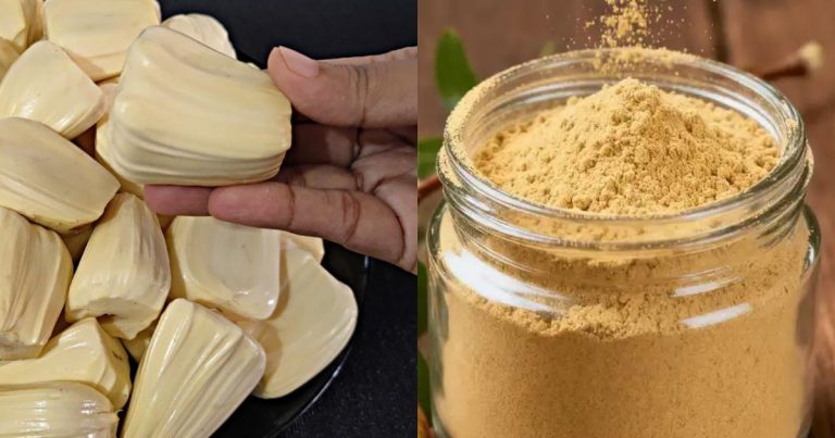 Healthy Jackfruit powder