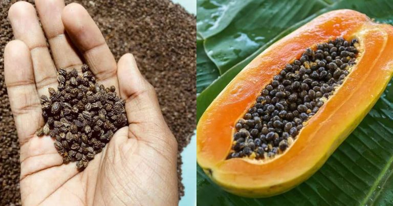 Papaya Seed Benefits
