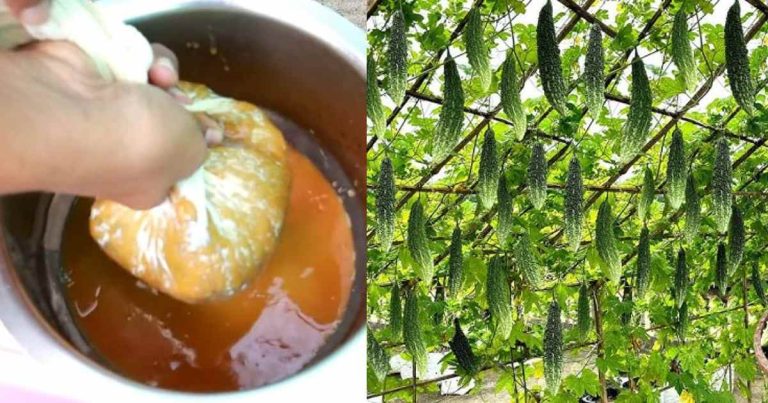 Banana Fertilizers For vegetables