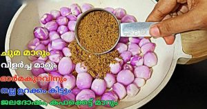Shallots lehyam For cough