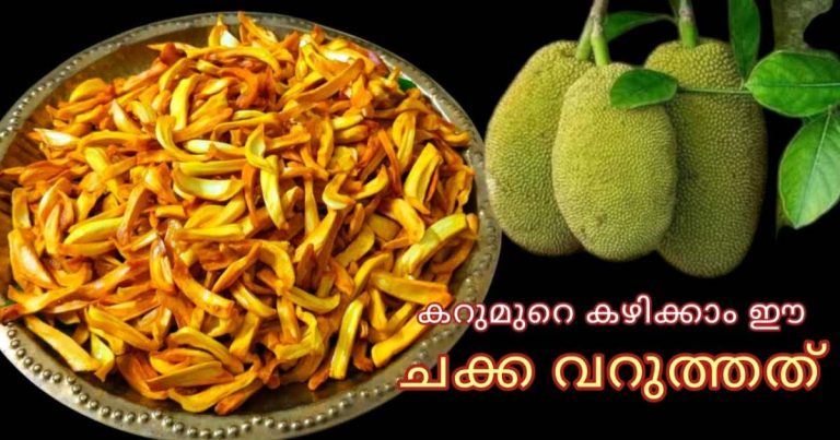 Crispy Jackfruit Chips