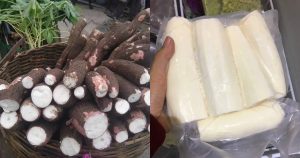 Tapioca Easy Storing
