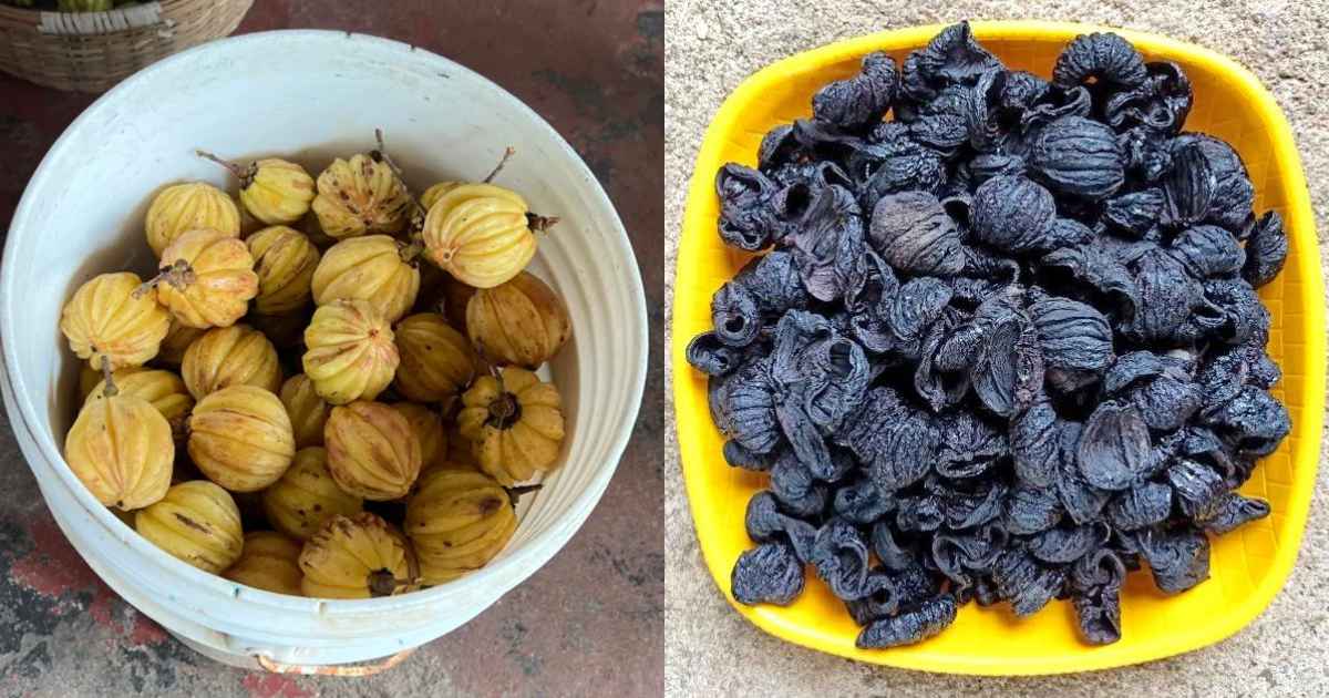 Tips to dry Kudampuli