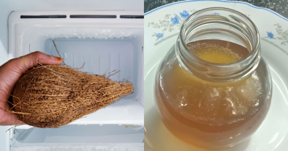 Virgin Coconut Oil making