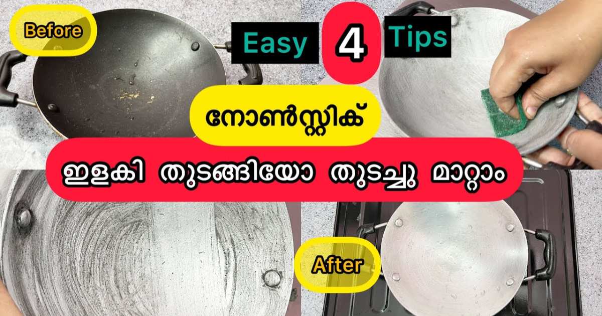 Nonstick Reuse using Egg shell